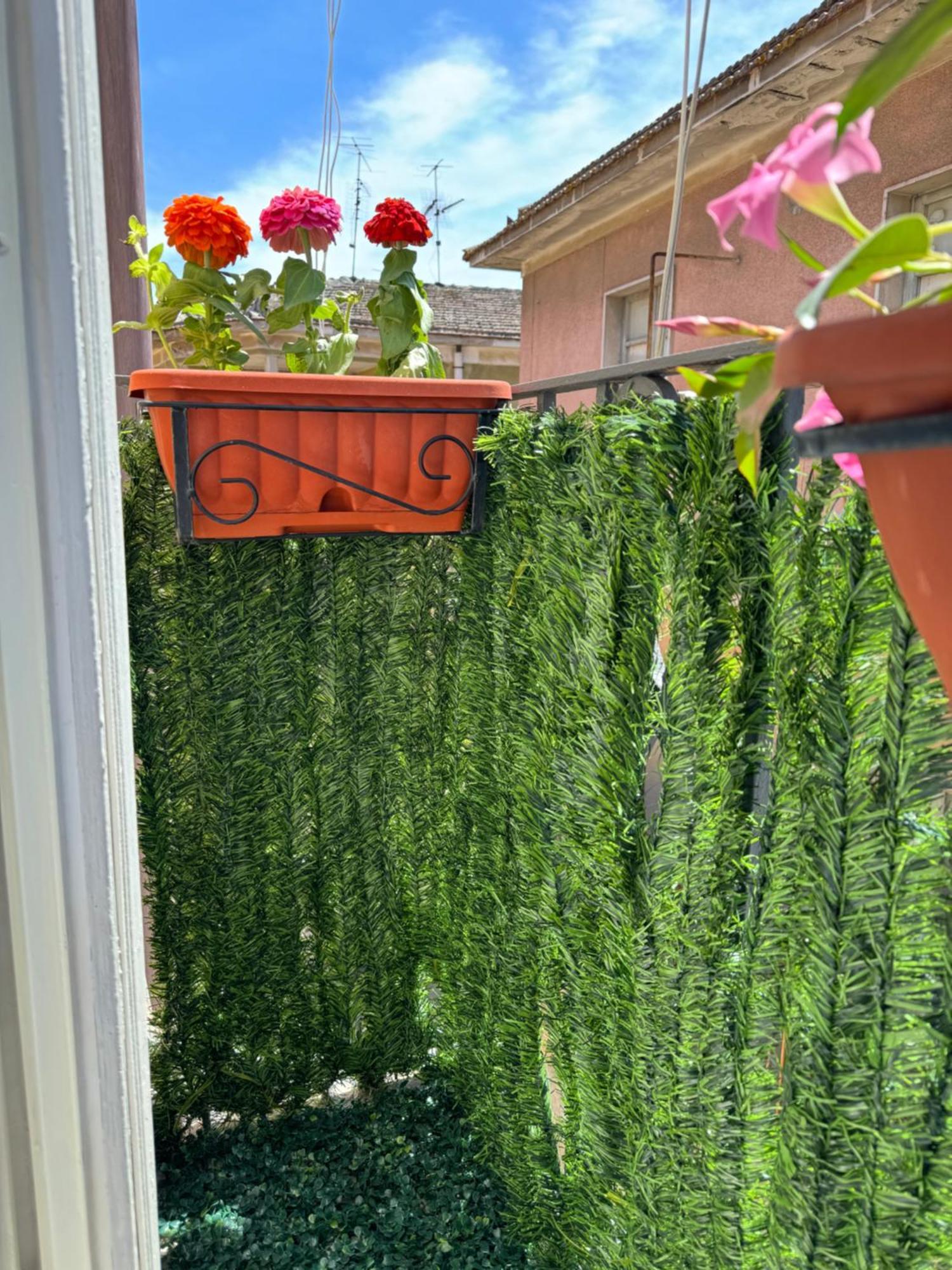 בנוונטו B&B La Meta מראה חיצוני תמונה